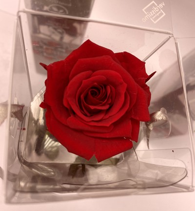 geschenkelaedchen-ewige-rose